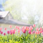 Spring Roofing Checklist